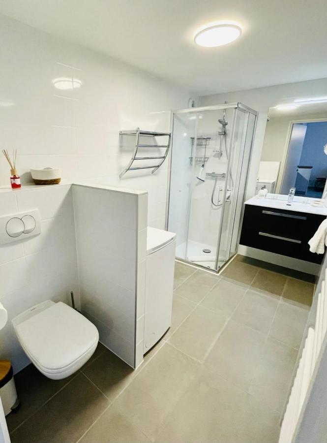 Le Quartz Tresum In A Modern Residence Near The Lake Garage Included 안시 외부 사진